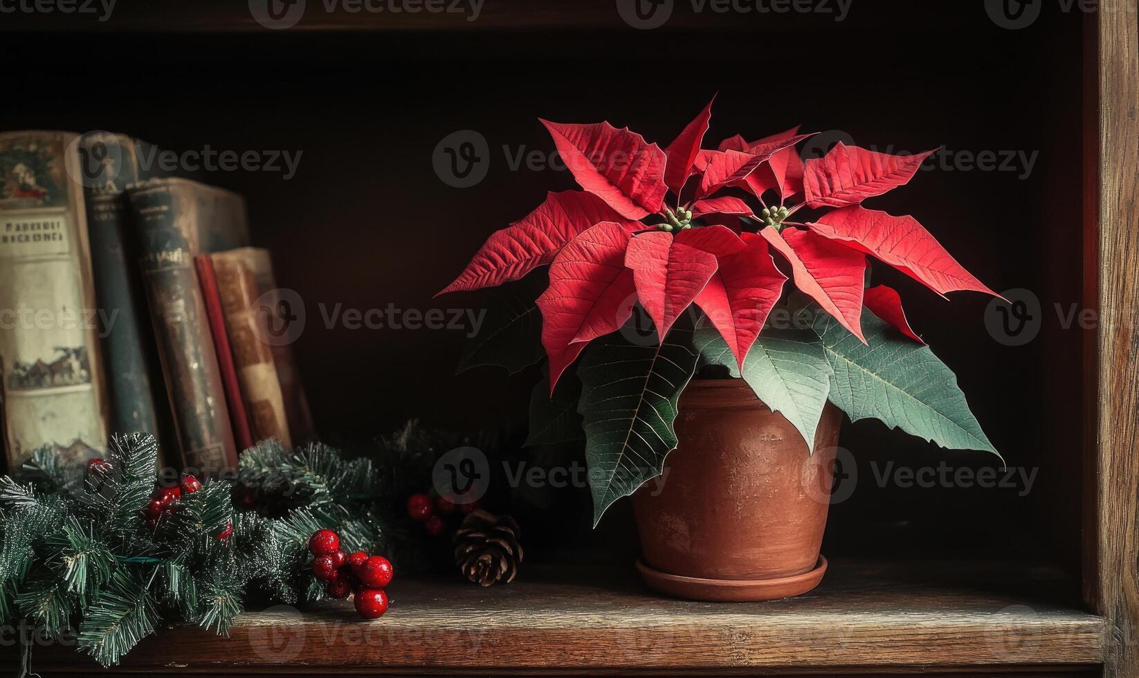 Poinsettia in a pot on a shelf with books photo