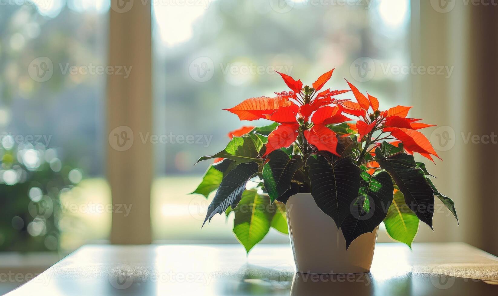 A potted plant with red flowers sits on a table in front of a window photo