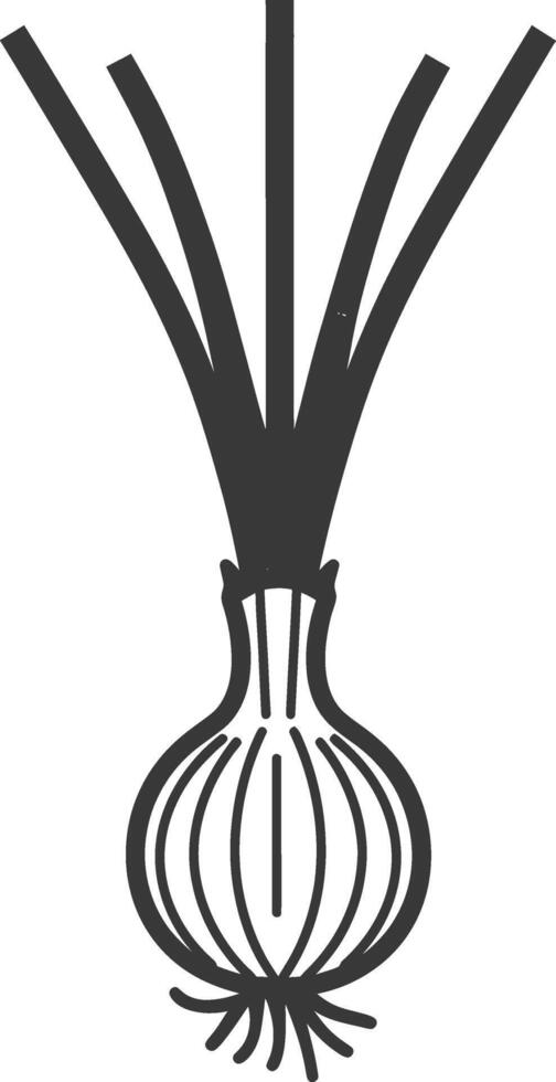 An onion is shown in a black and white illustration vector
