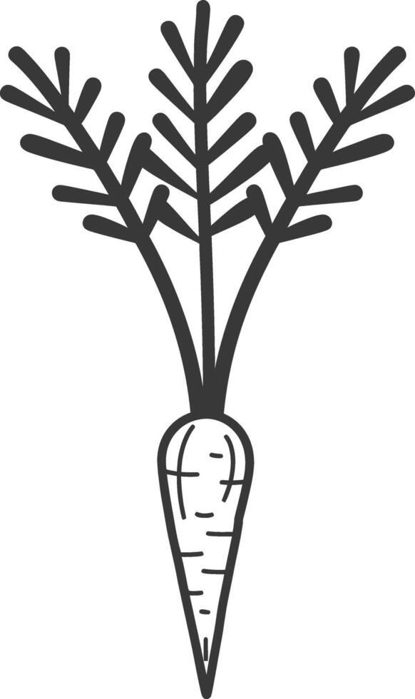 Carrot with leaves illustration vector