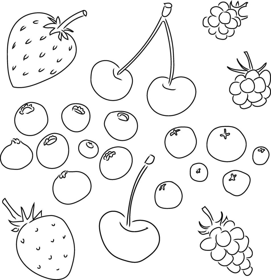 Abstract Berries Mix Collection. Outline BW Hand-Drawn Doodle Icons. Cherry, Blueberry, Strawberry, Raspberry, Blackberry, Cranberry. Garden wild fruit berry elements for design, logo, coloring page vector