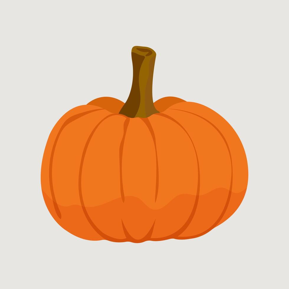 Vegetable pumpkin. . vector