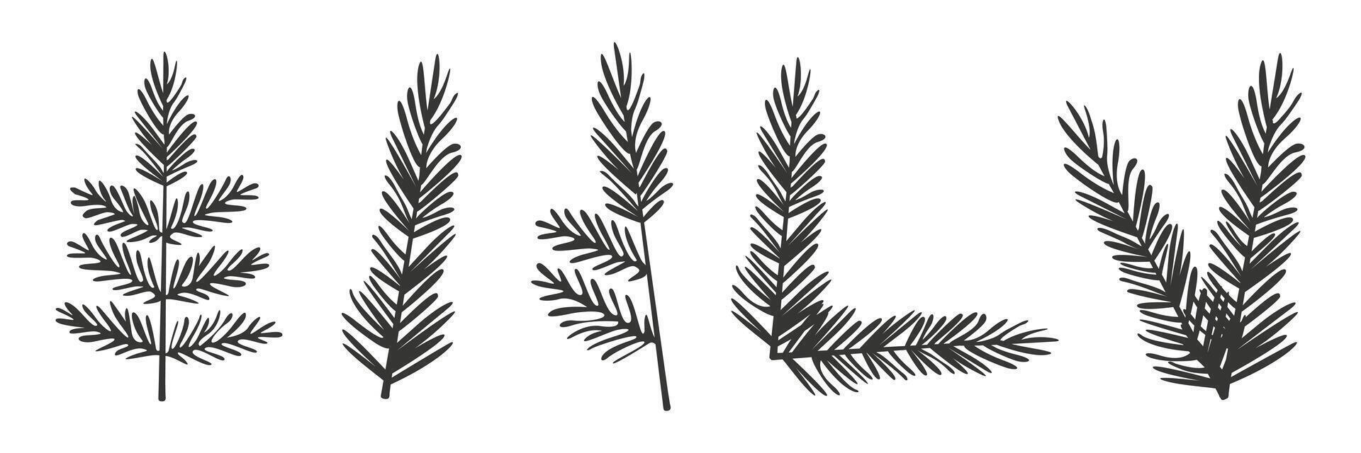 Christmas illustration Christmas and New Year green coniferous plant symbols Isolated on white background. vector