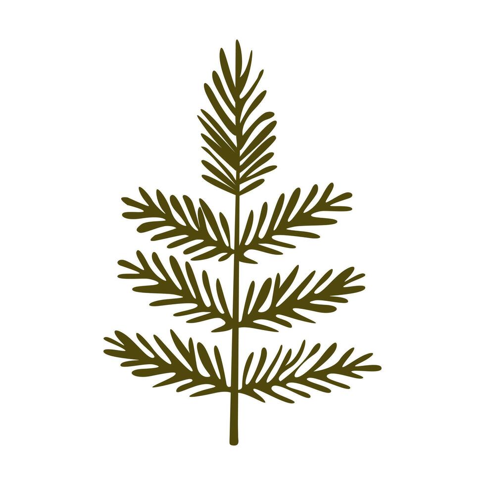 Christmas illustration of spruce sprig Christmas and New Year green coniferous plant image Isolated on white background. vector