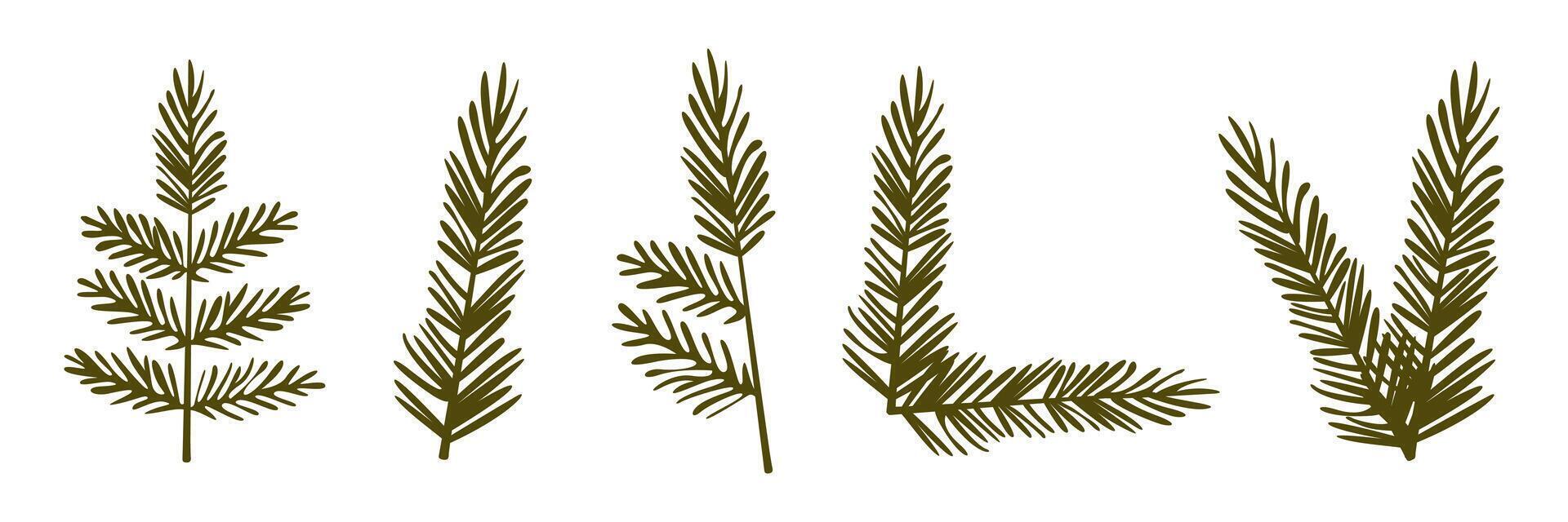 Set of spruce branches Christmas illustration Christmas and New Year vector