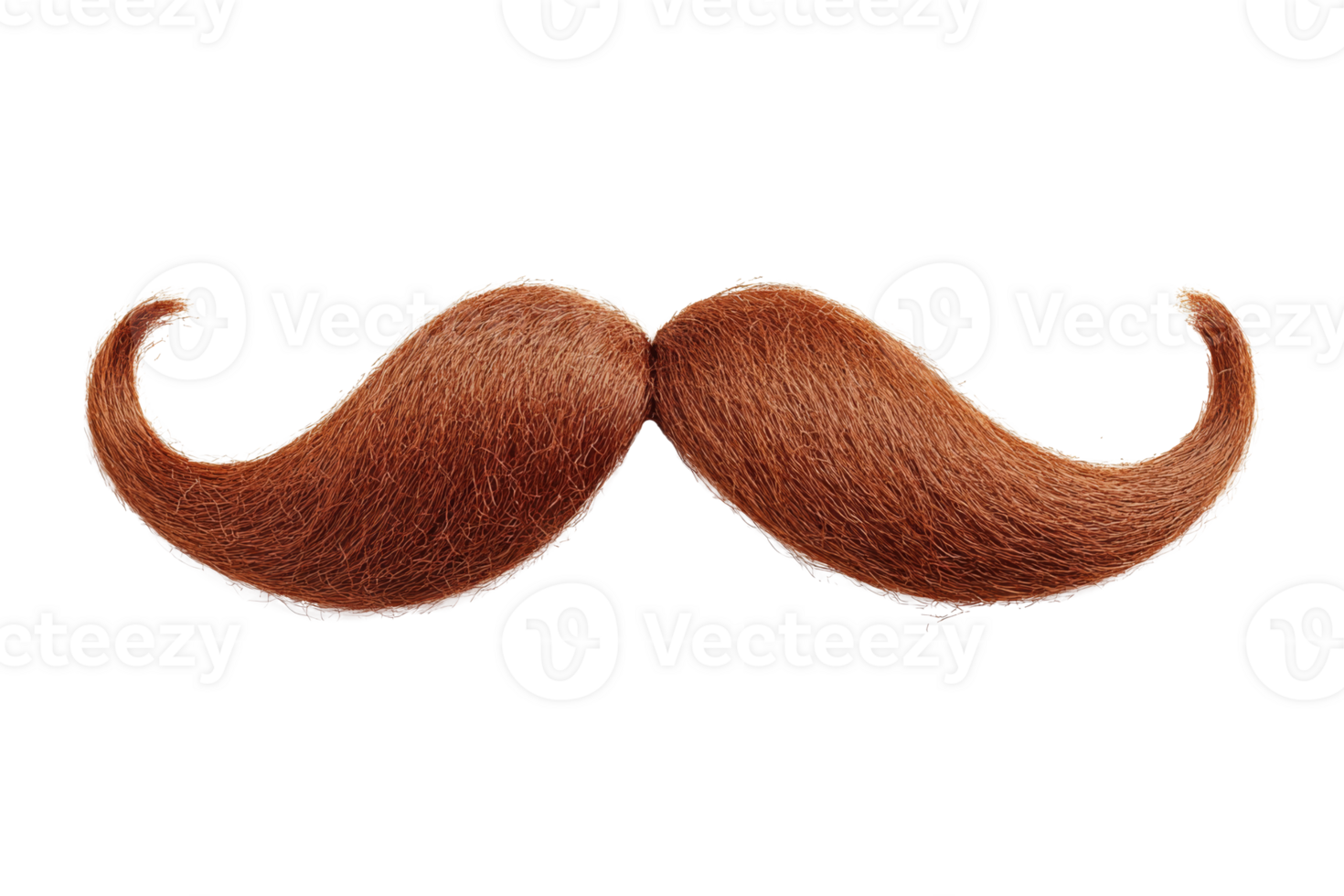 Fake curly brown handlebar mustache png