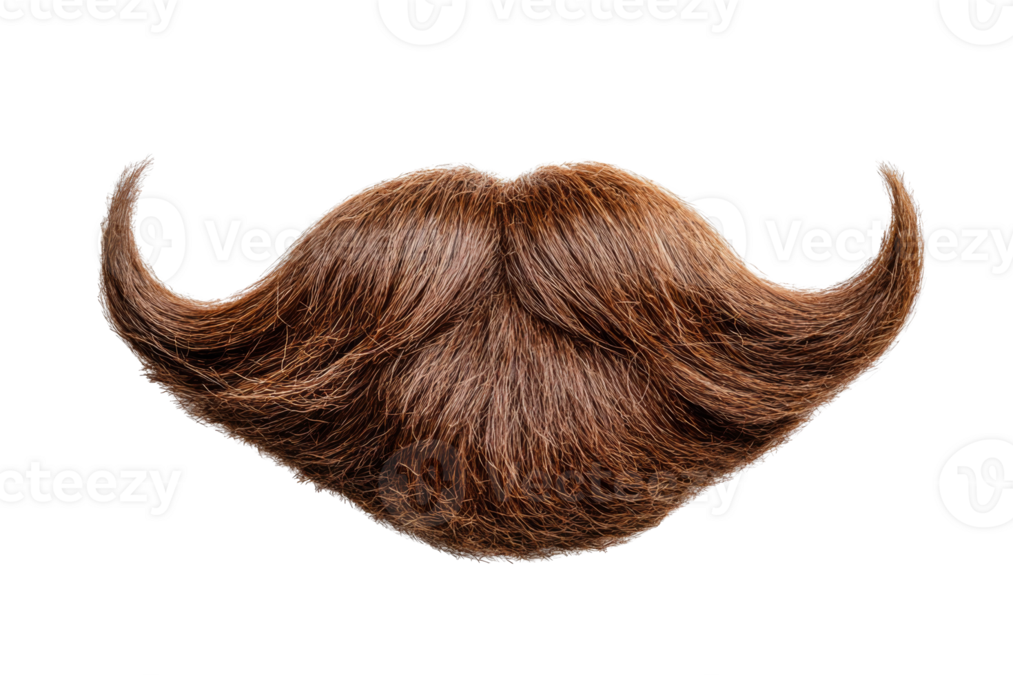 Fake curly brown handlebar mustache and beard png