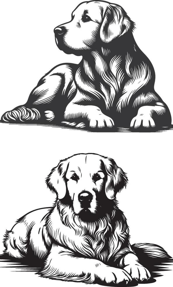 Two golden retriever dogs sitting on the ground vector
