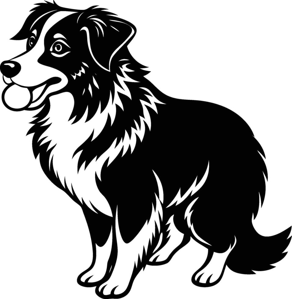 Border collie dog clipart vector