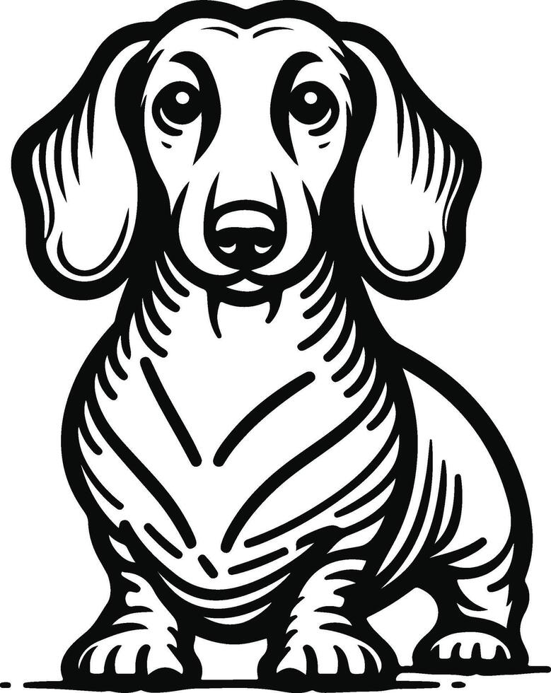 Dachshund dog coloring pages vector