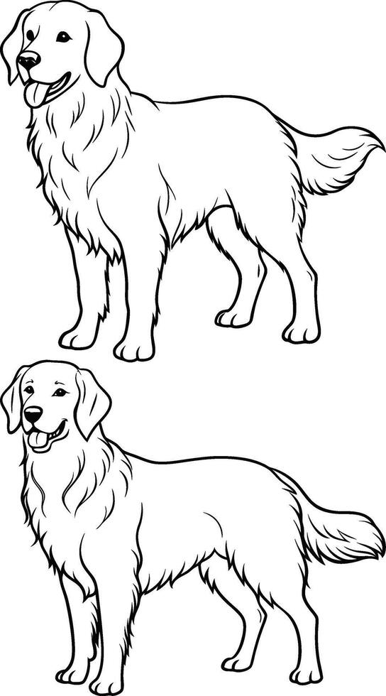 Golden retriever coloring pages vector