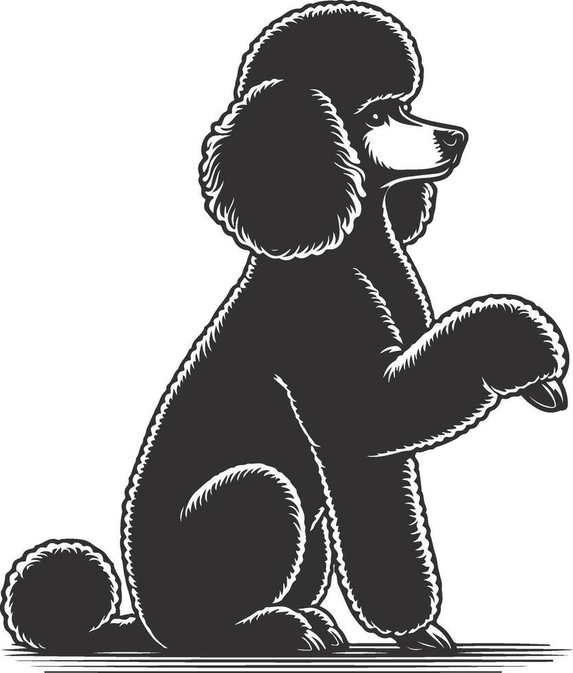 A black poodle sitting down with its paw up vector