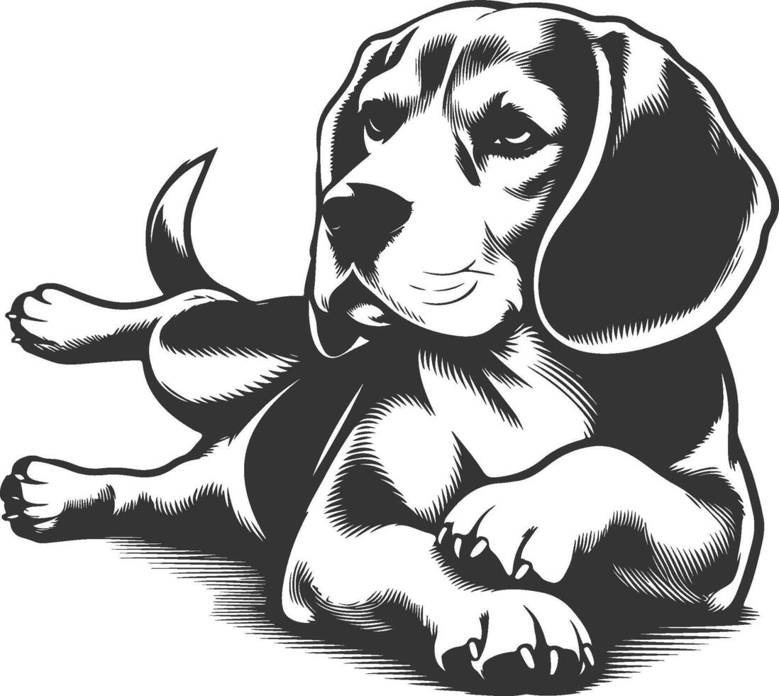Beagle dog illustration vector