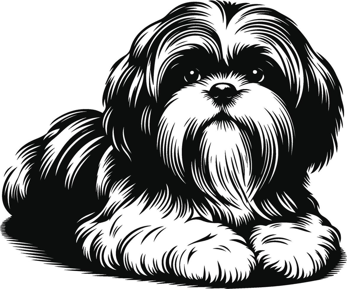 Shih tzu dog vector