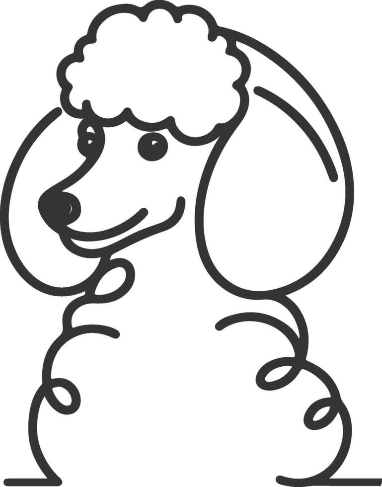 A poodle dog is shown in a line drawing vector