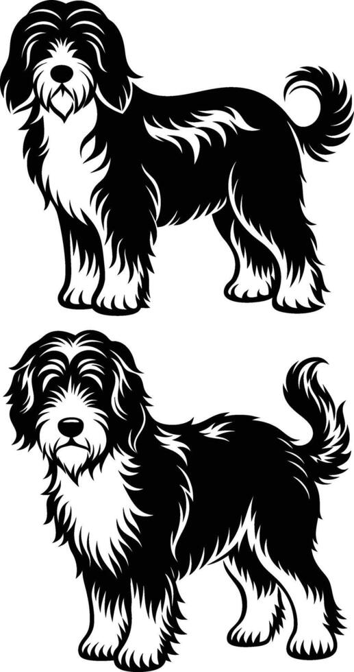 Two black and white dogs standing side by side vector