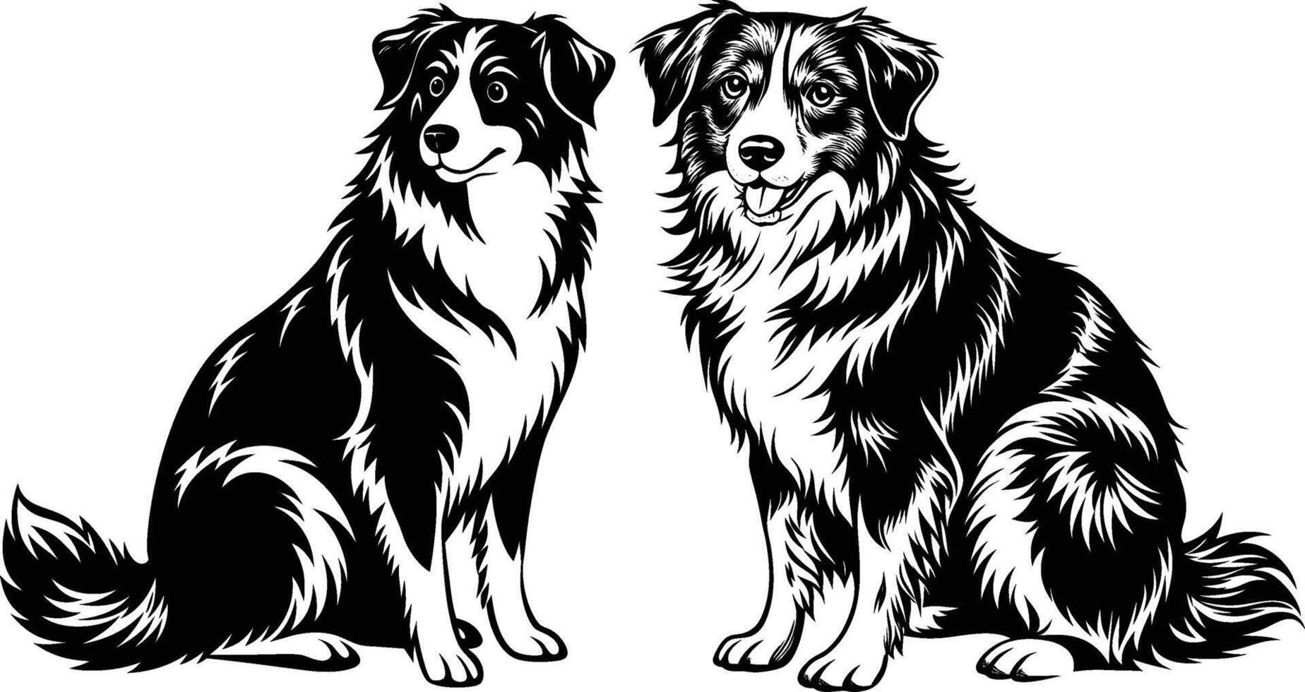 Two black and white dogs sitting side by side vector
