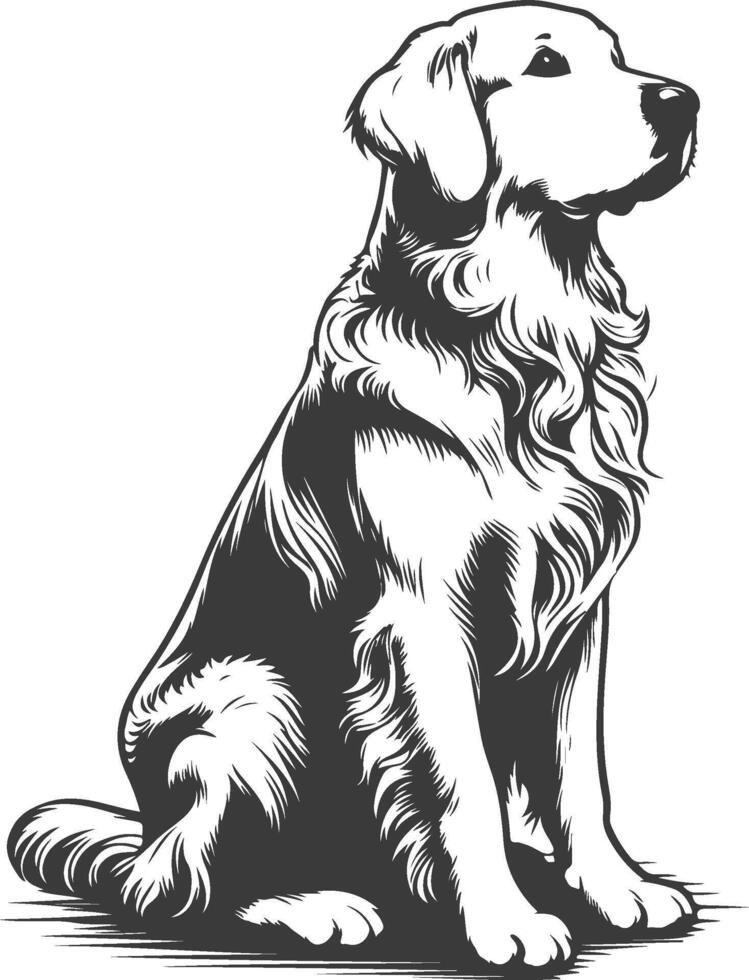 A dog sitting in a black and white drawing vector