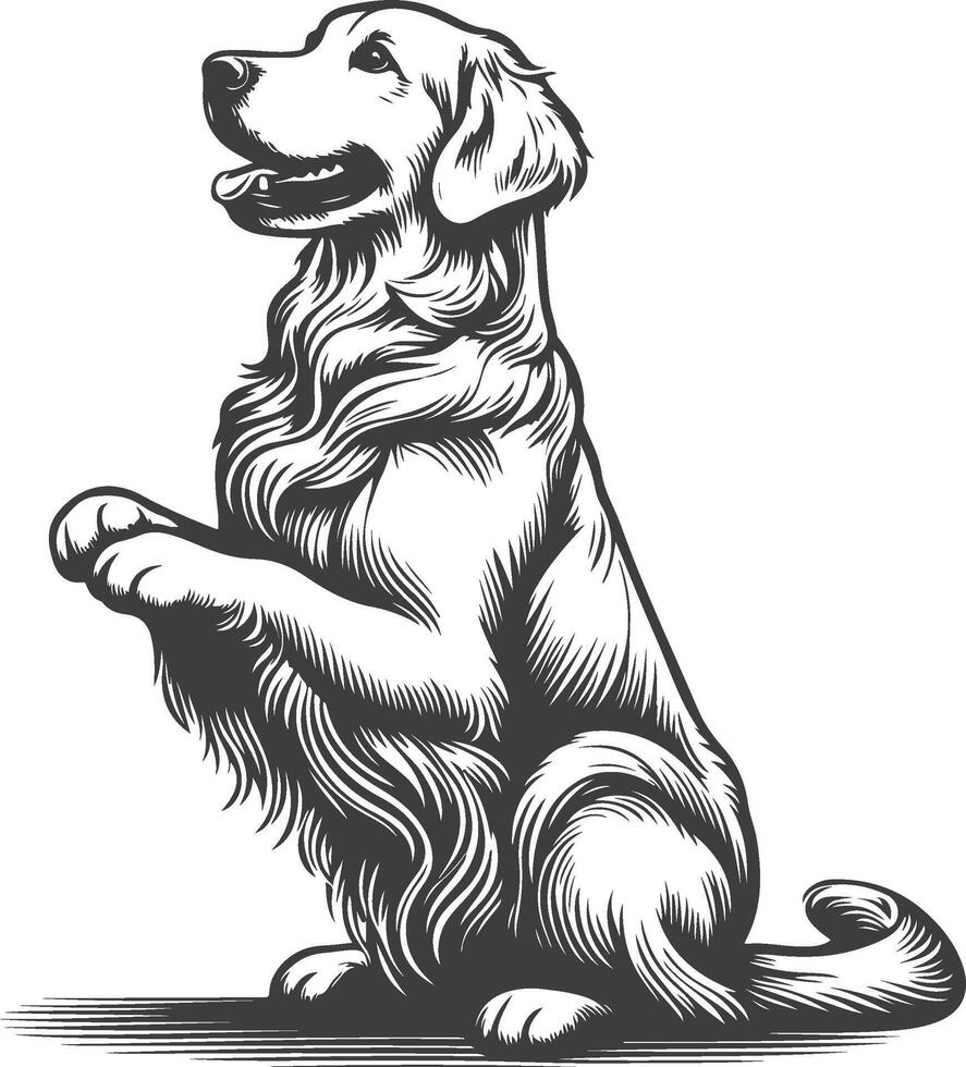 A black and white drawing of a golden retriever vector