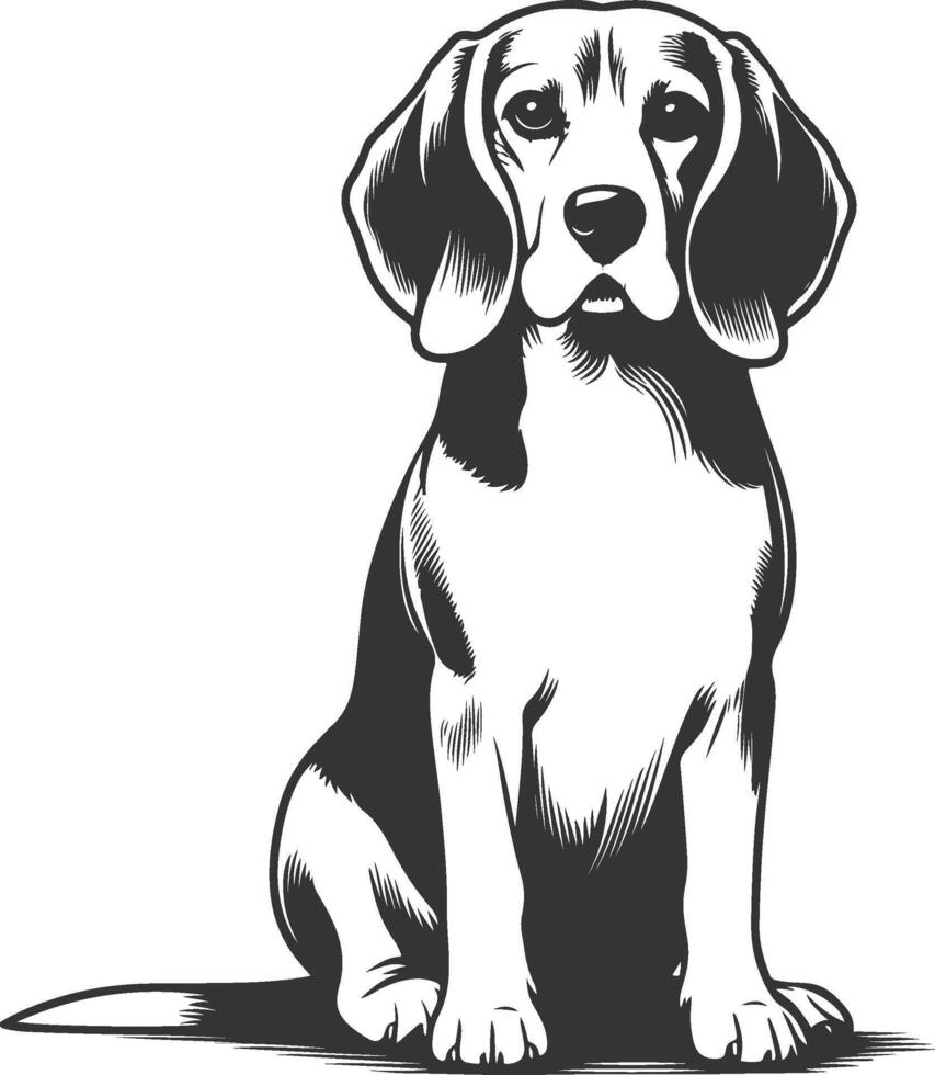 Beagle dog illustration vector