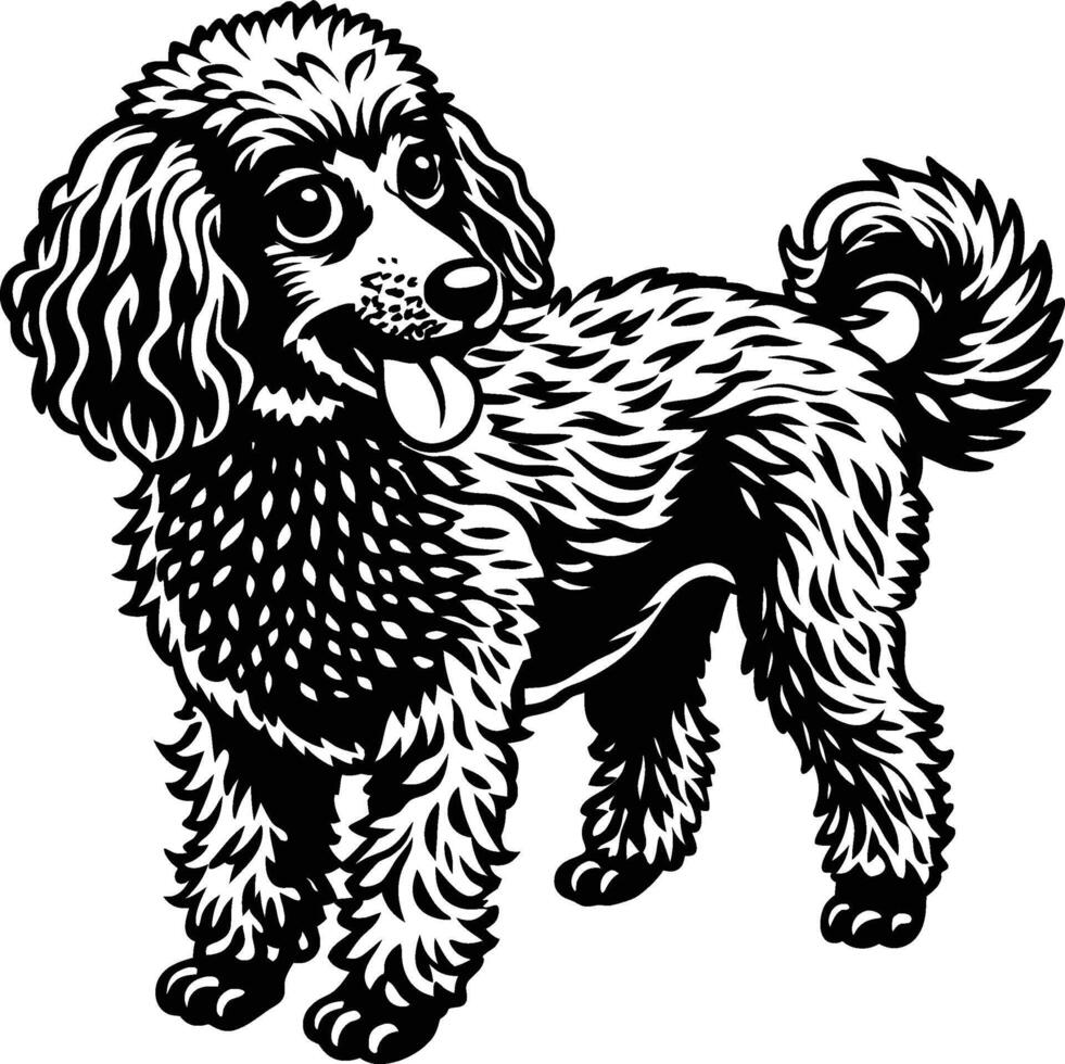 A black and white poodle dog standing in front of a white background vector