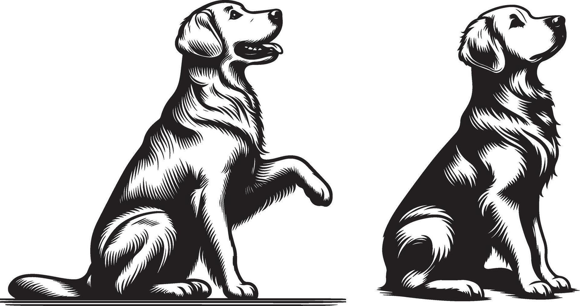 Two black and white illustrations of a dog sitting and standing vector