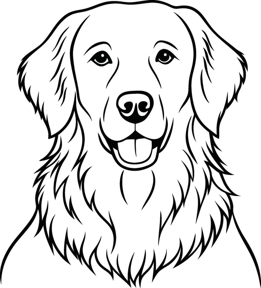 Golden retriever coloring pages vector