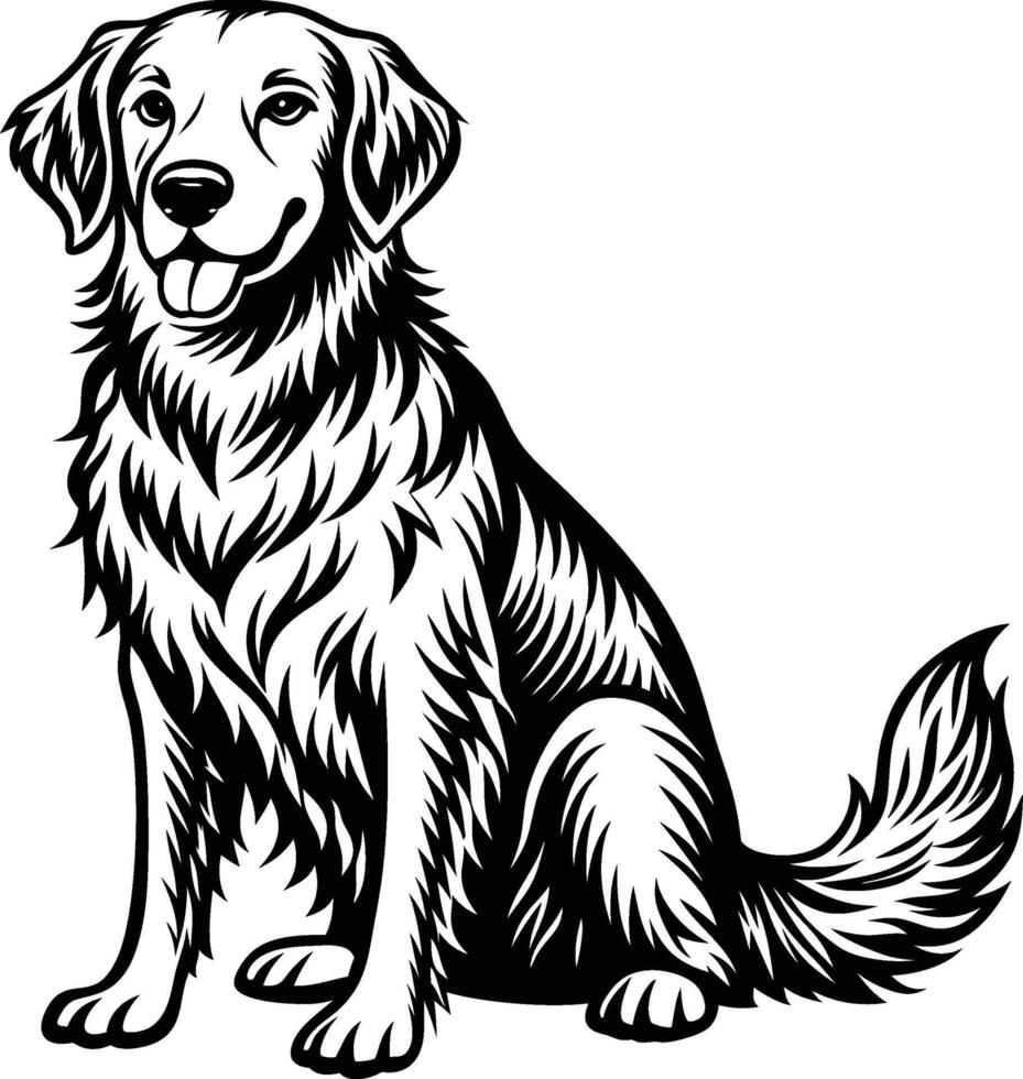 Golden retriever dog sitting black and white vector