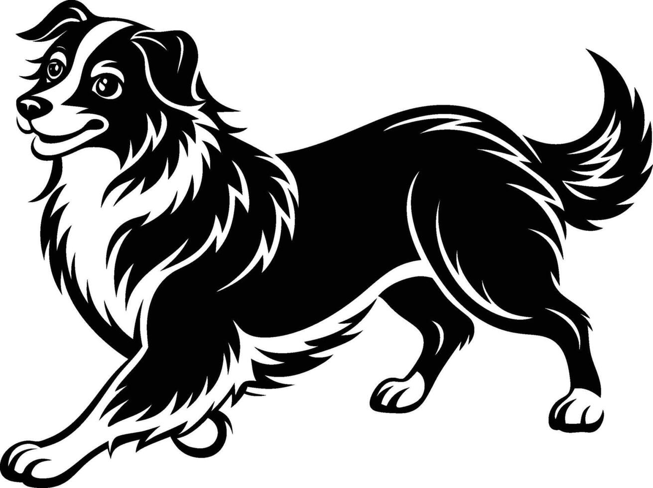 Border collie dog vector