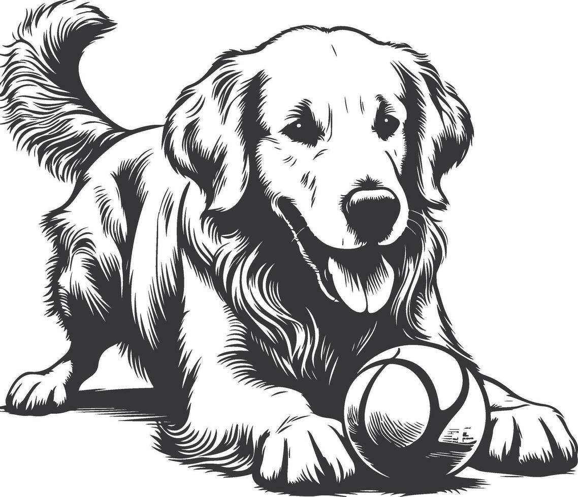 A black and white drawing of a golden retriever with a ball vector