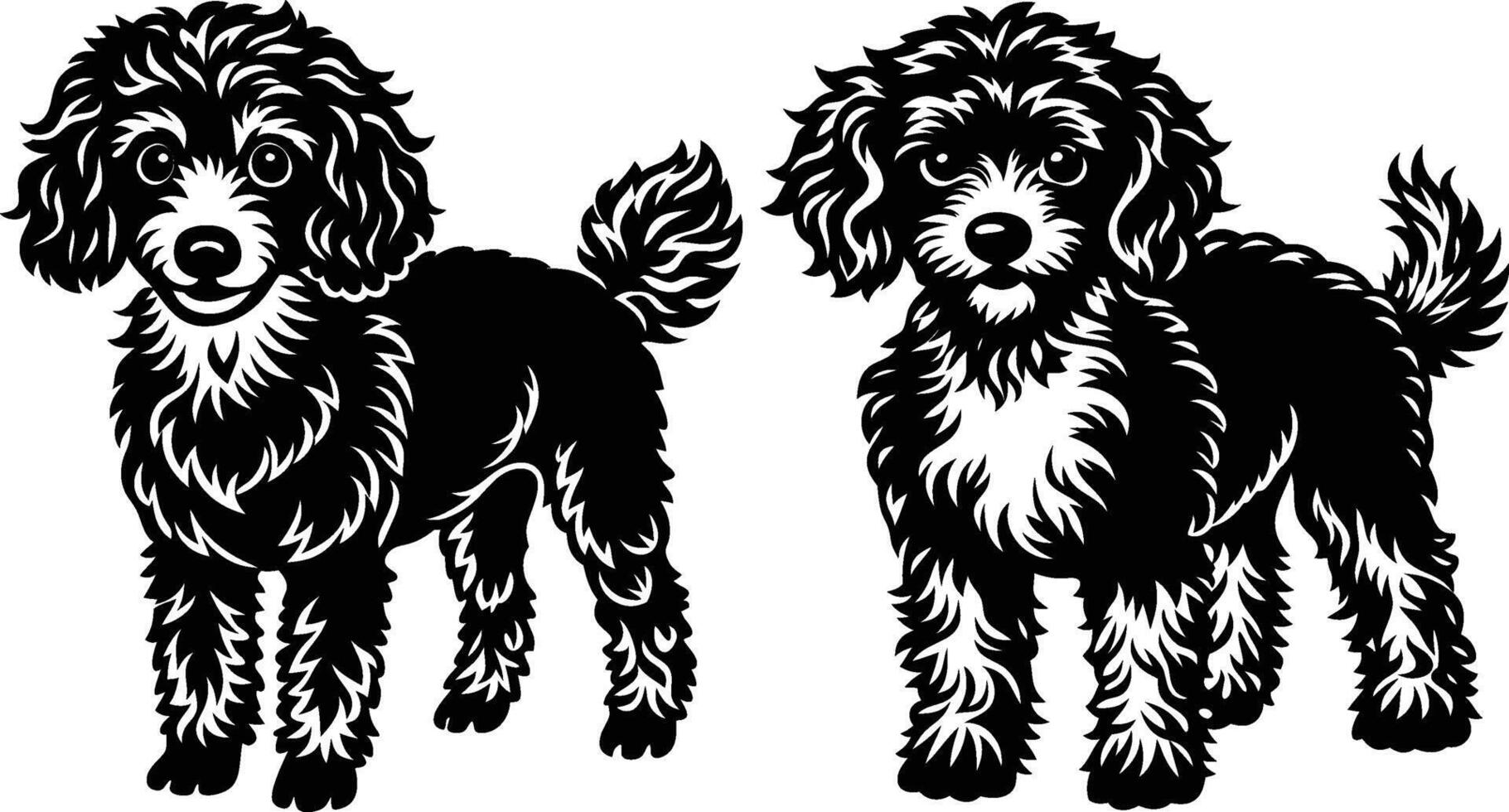 Two black and white poodle dogs standing side by side vector