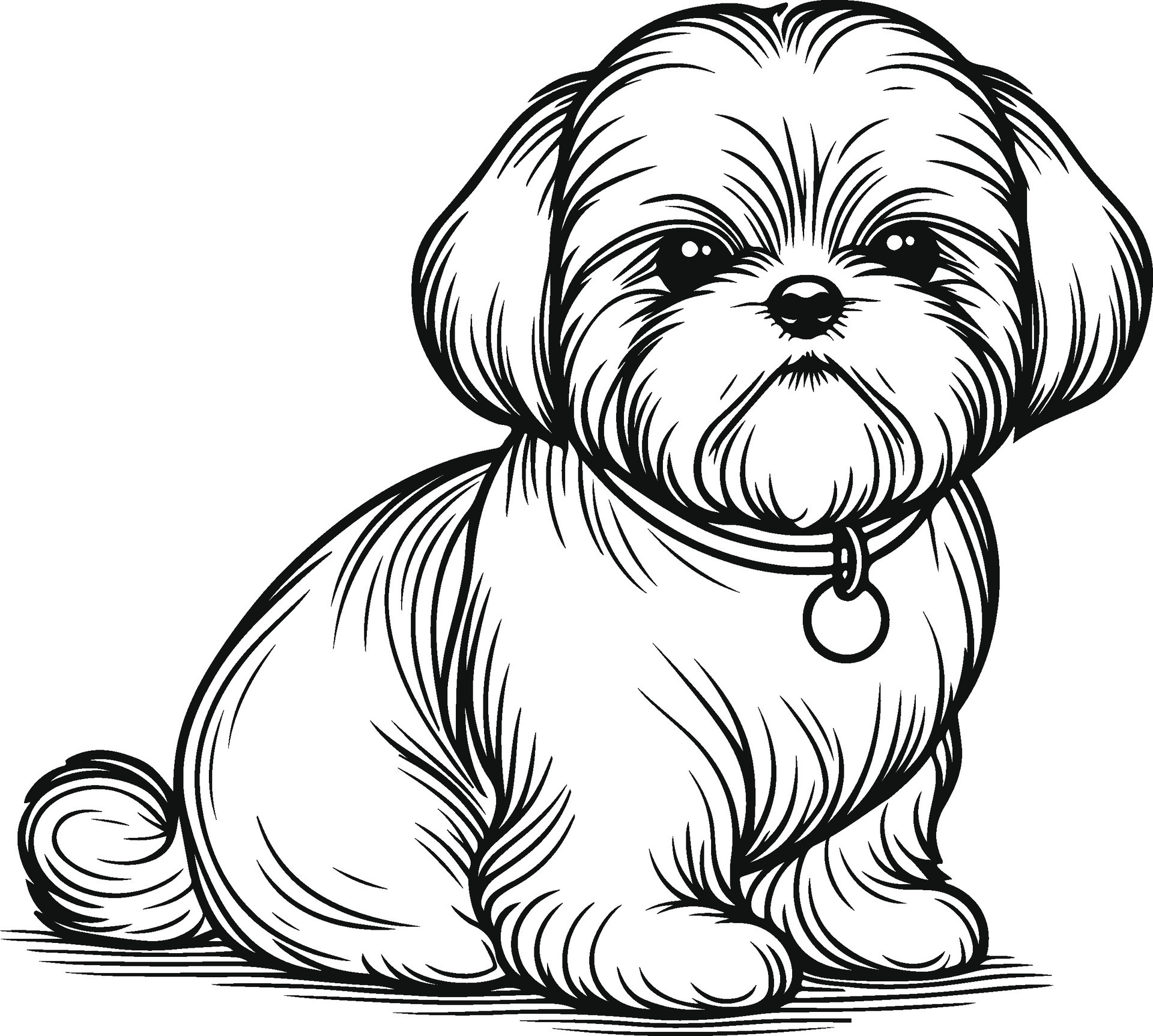 Shih tzu coloring pages shih tzu coloring pages 50309292 Vector Art at