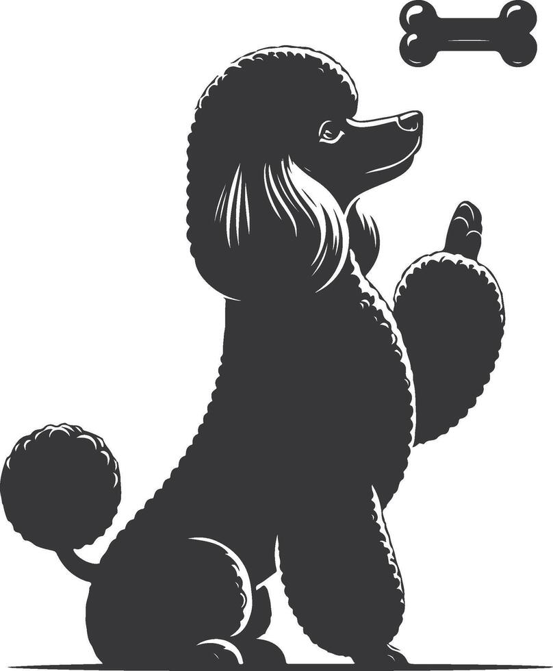 A black poodle dog with a bone in its mouth vector