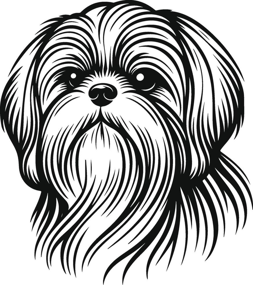 Shih tzu dog tattoo design vector