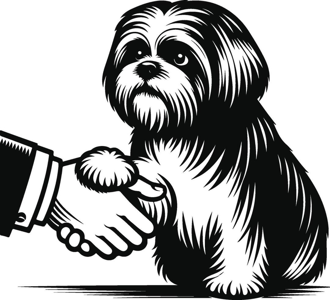 Shih tzu dog shaking hands with a man vector