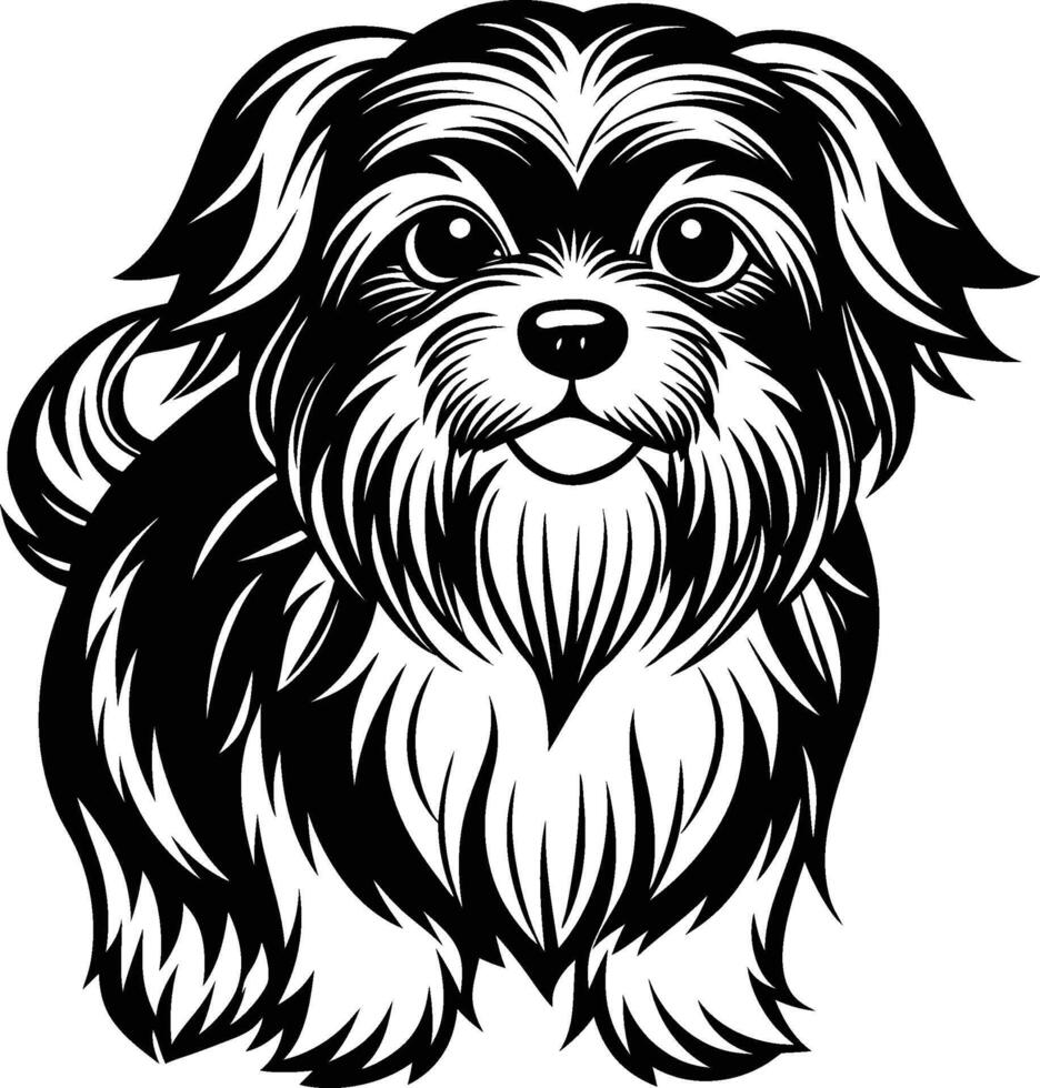 A black and white dog with long hair vector