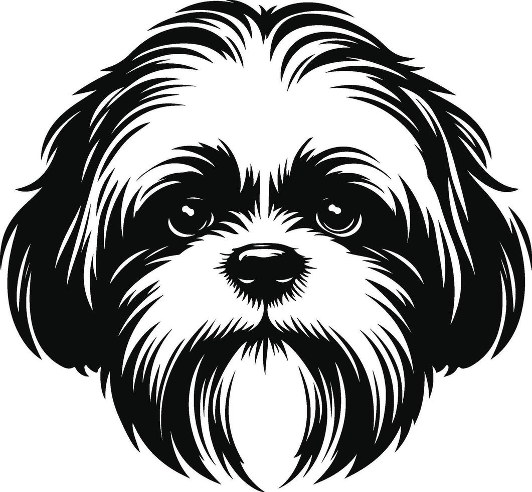 Shih tzu dog head vector