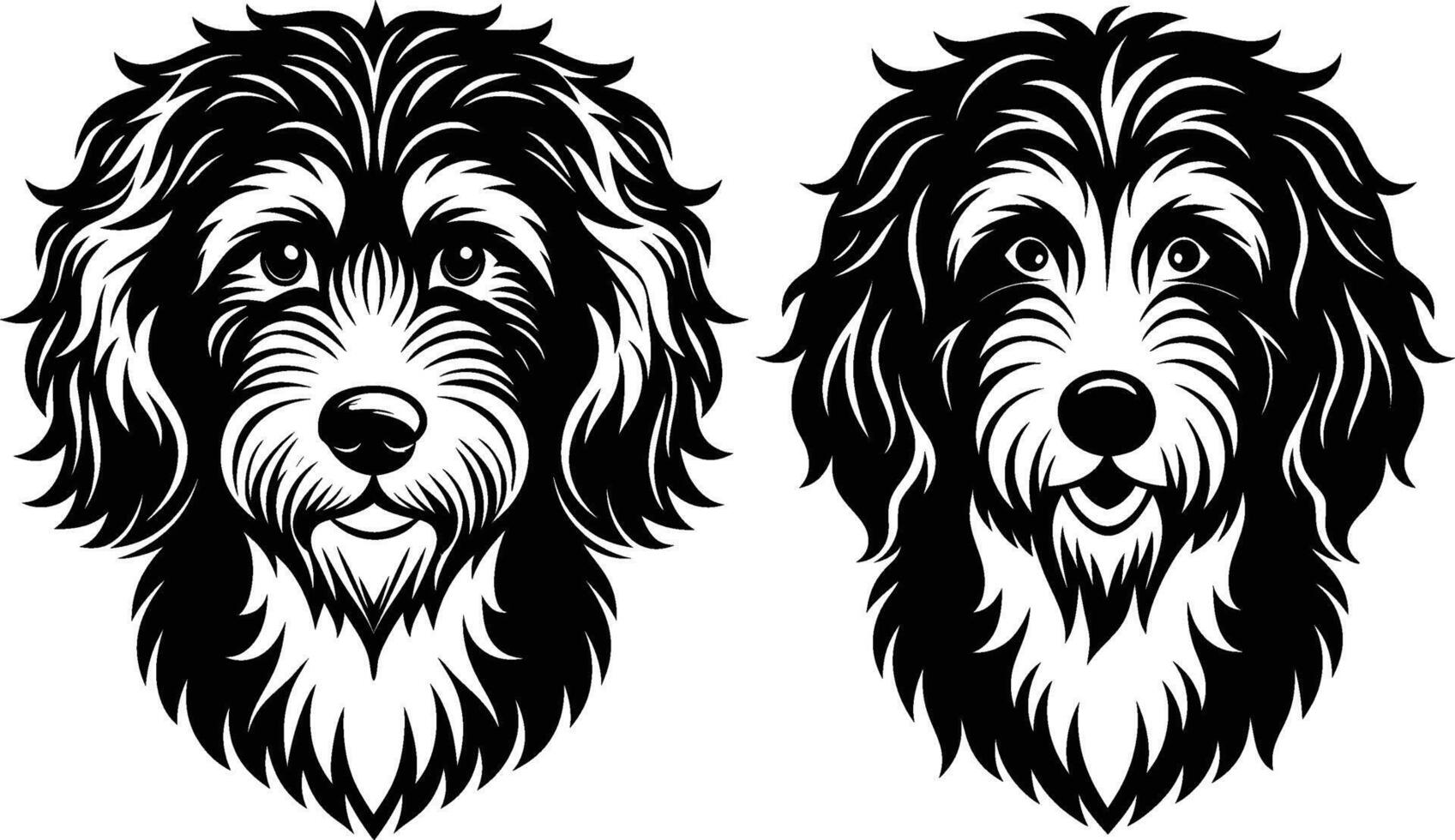 Two dogs with long hair on a white background vector