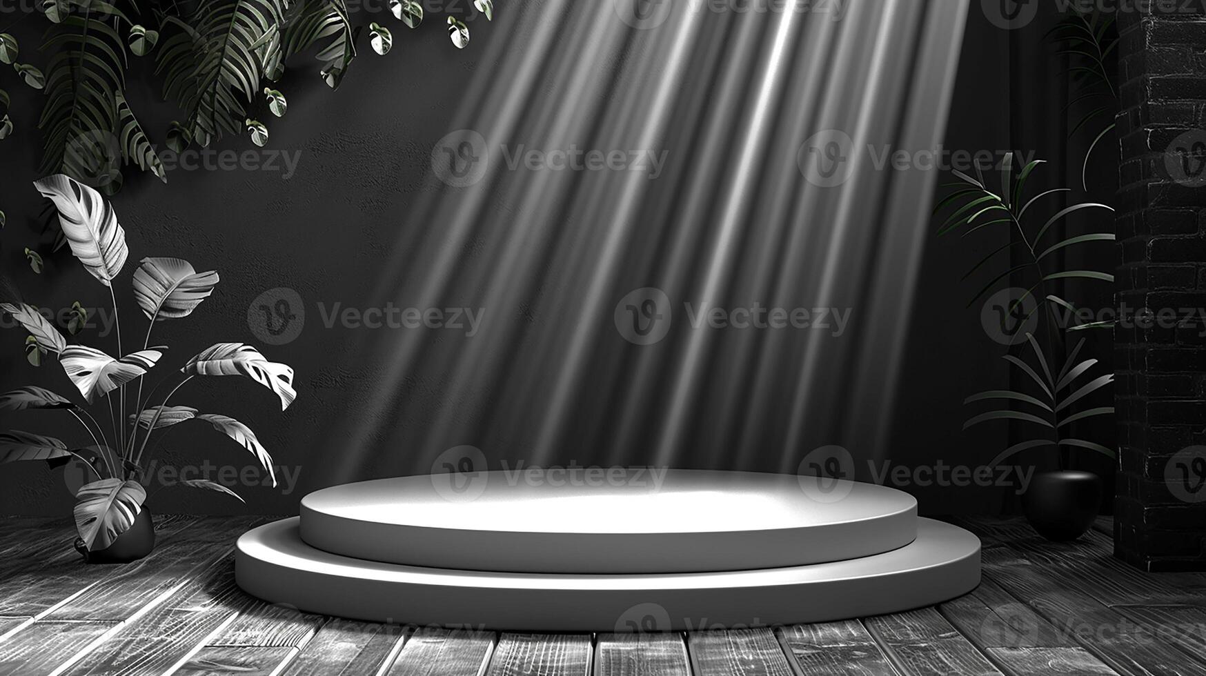 An empty stage with a spotlight shining on it photo