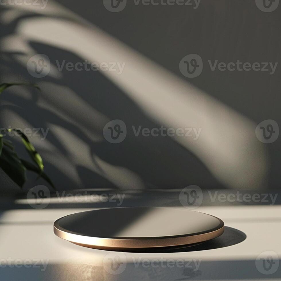 A round object on a table with a plant in the background photo