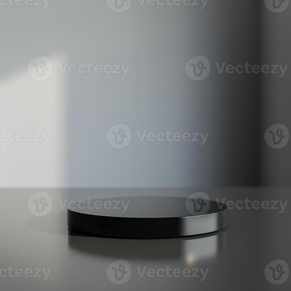 A black circular object on a table in front of a wall photo