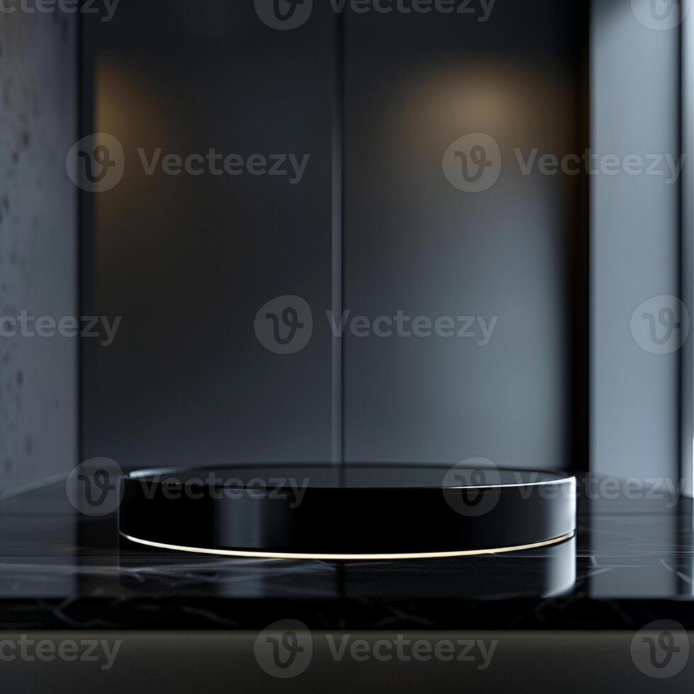 A black and white circular object sitting on a counter photo