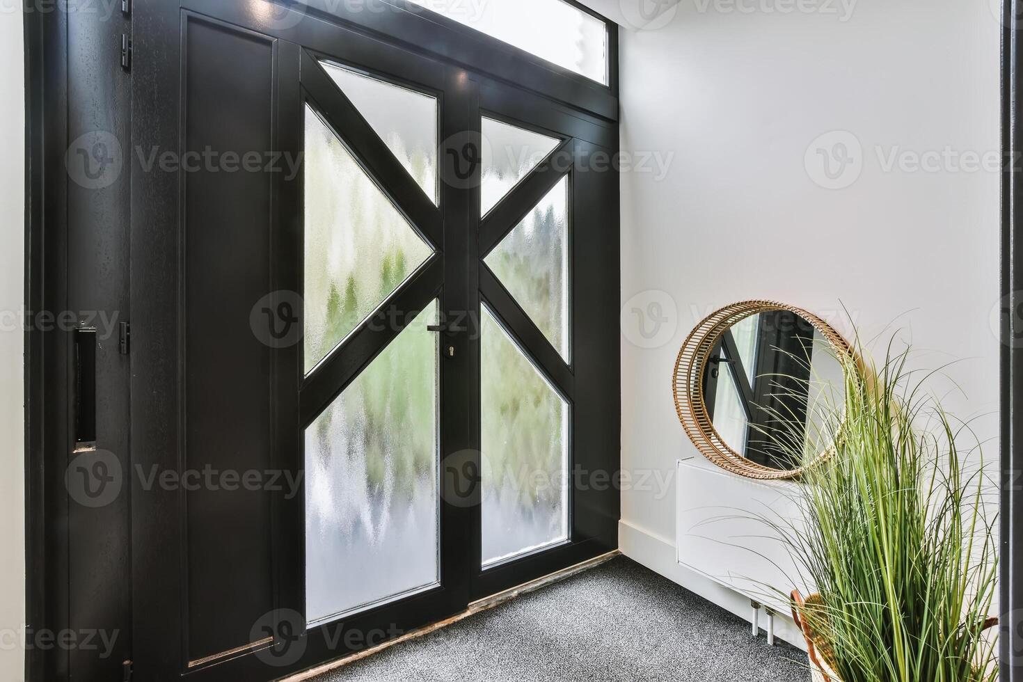 A black door with a mirror and plants in it photo