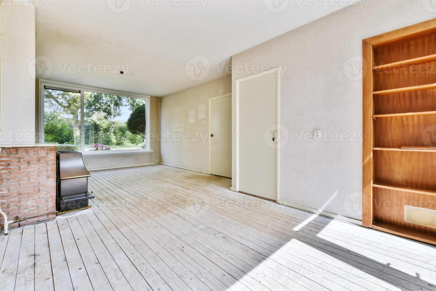 An empty room with a fireplace and bookshelves photo