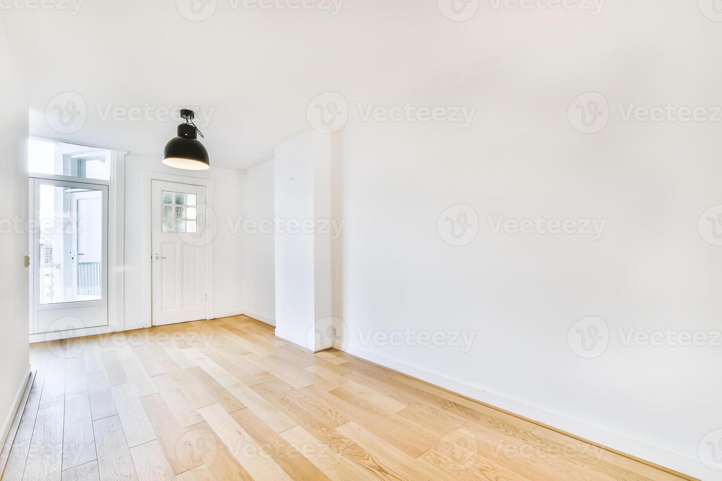 A white room with wooden floors and a door photo