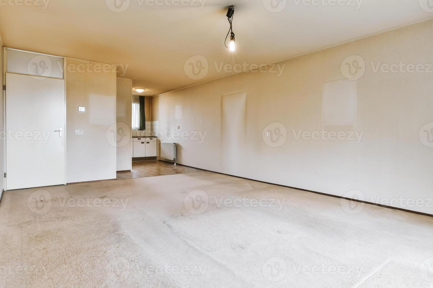 Empty room with carpet and light fixture photo