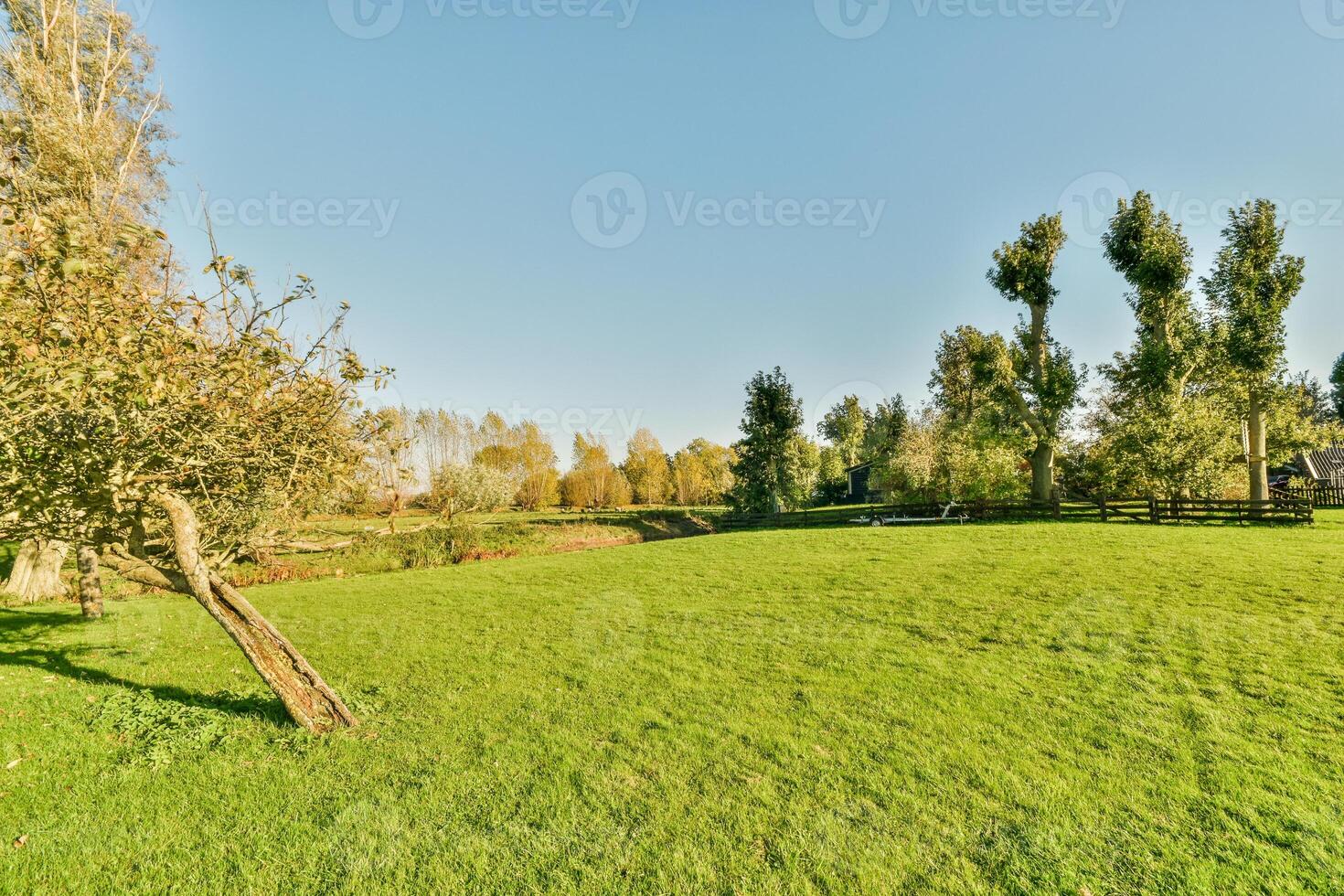 A grassy field with trees and a fence photo