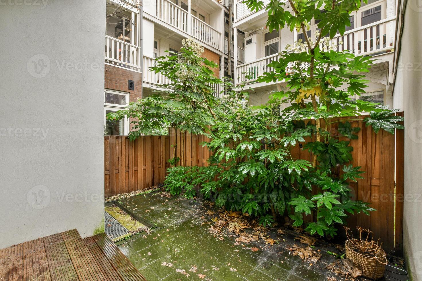 A small courtyard with plants and trees photo