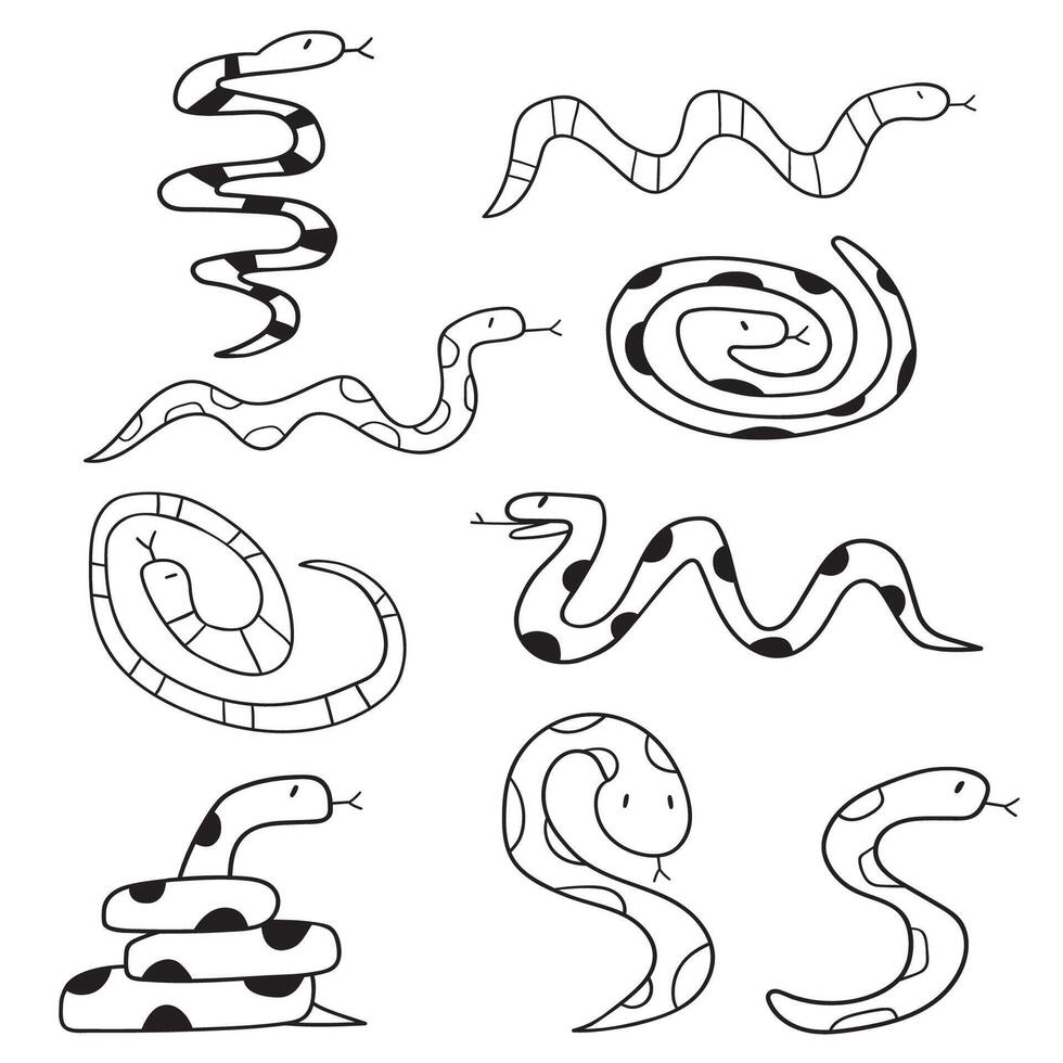Snakes. Collection of outline icons. Black color. Hand drawn graphic design. Illustrations on white background.rint vector