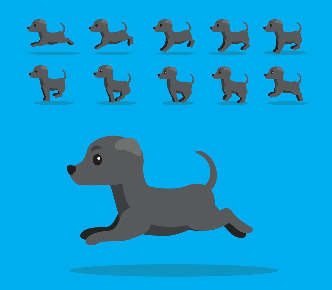 Animal Animation Sequence Dog Greyhound Grey Coat Cartoon vector